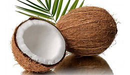 Что такое кокос в матрасе?